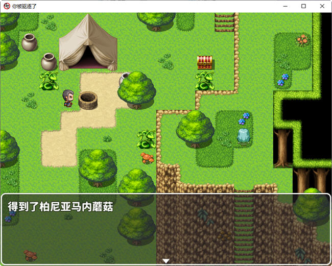 图片[2]-你被驱逐了 官方中文作弊版 PC+安卓 RPG游戏 1.2G-概念社ACG